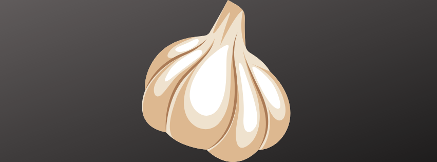 GG’s Garlic Salt
