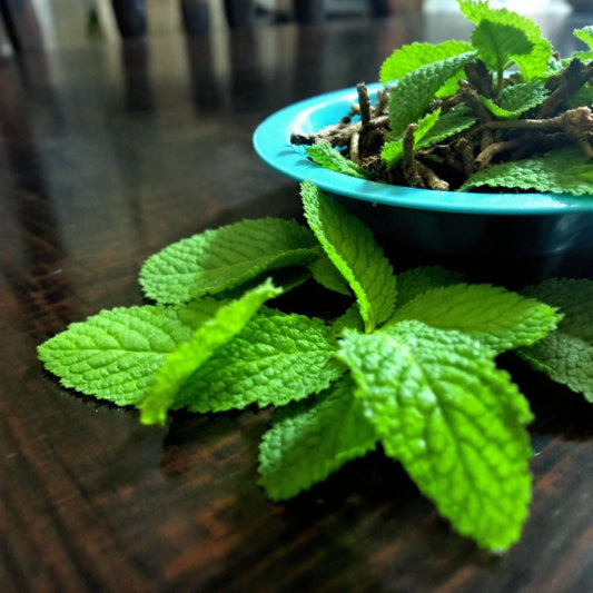 Peppermint Hot Chocolate